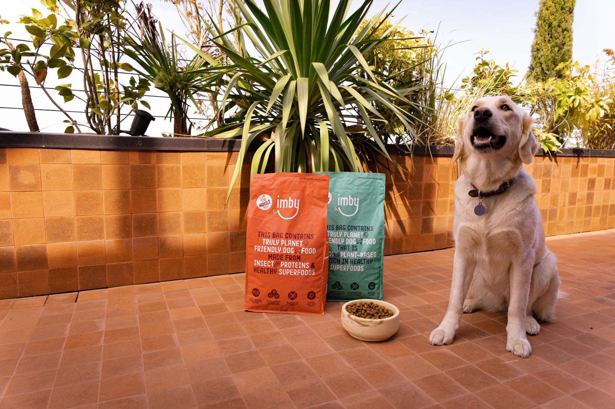 IMBY: NUTRITION THAT DELIGHTS YOUR PET & HEALS THE PLANET TURNING THE CONVENTIONAL PETFOOD INDUSTRY UPSIDE DOWN