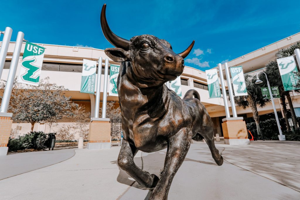 USF Vinik - Creating the Leaders of Tomorrow