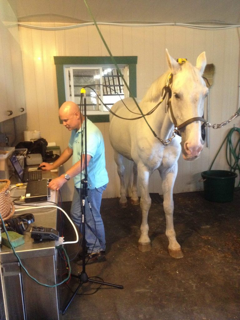 Ossicles-Technologies développe des produits innovants pour les chevaux de performance dont le but principal est d’améliorer leur santé et leur sécurité