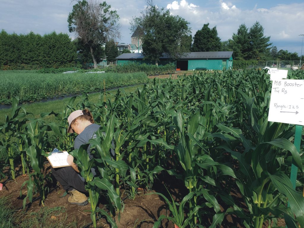 Bio.Enviro.In-Innovating for a resilient and adaptive bio-food system