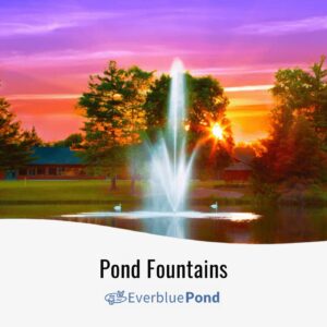 Everblue Pond fountain running on a managed pond at sunset