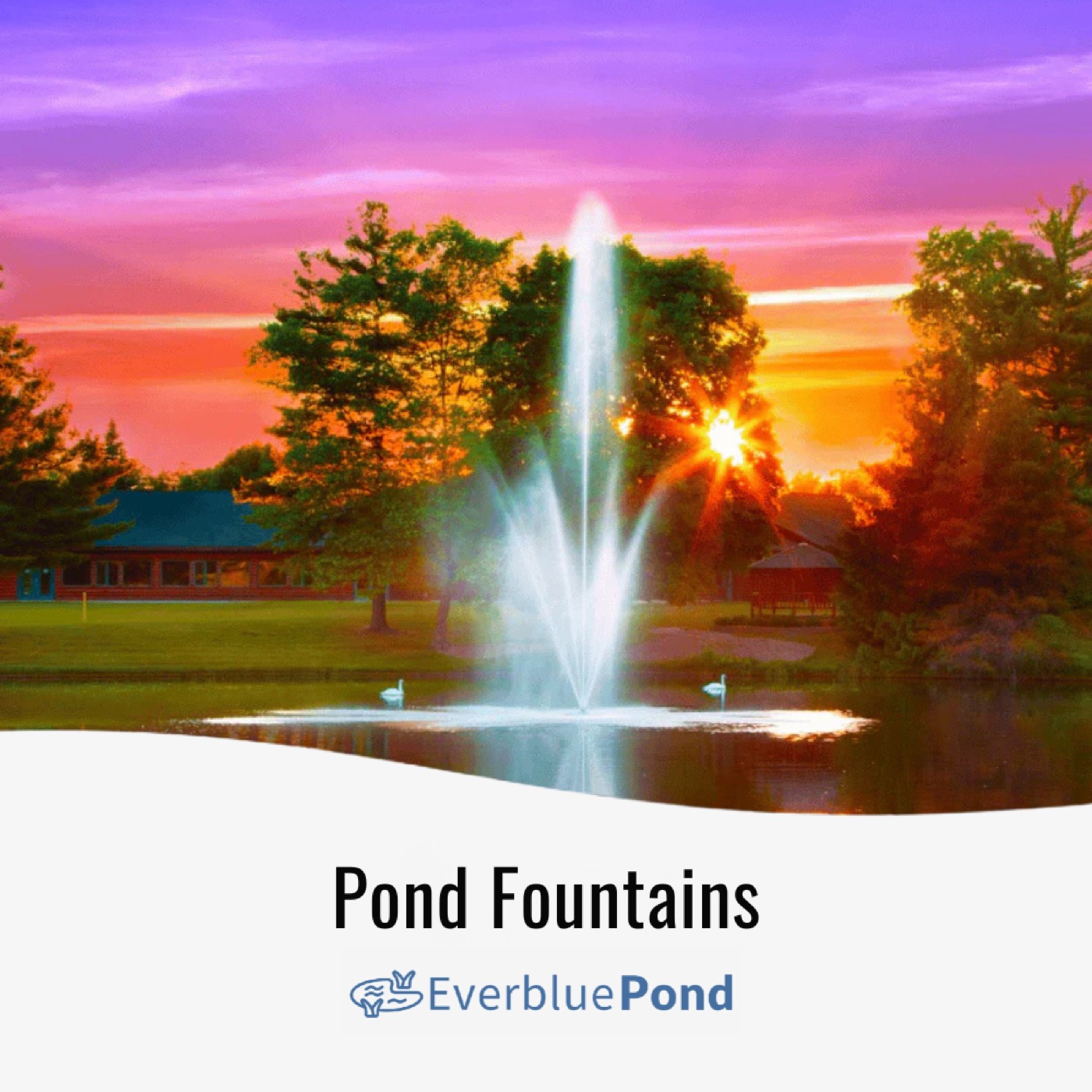 Everblue Pond fountain running on a managed pond at sunset